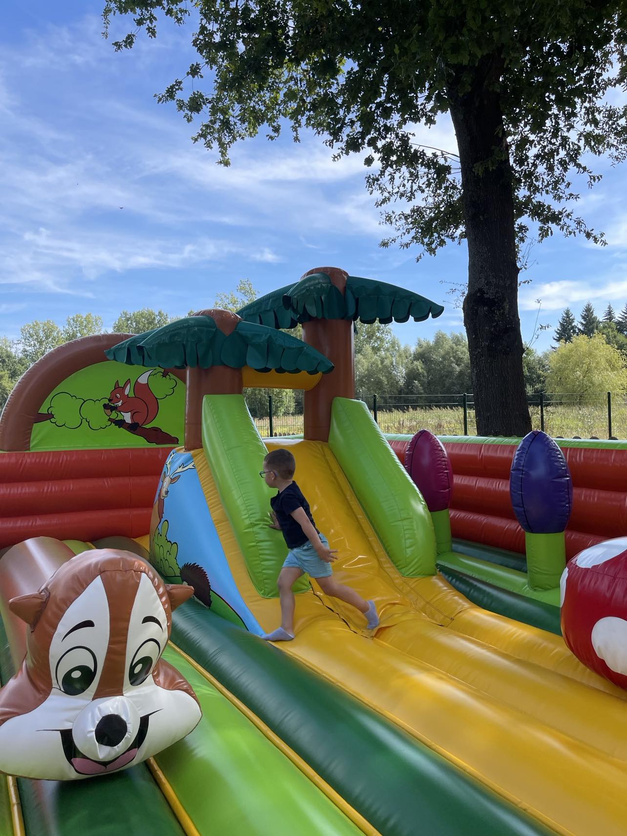 387582125_1972883449750816_5088837023760149550_n